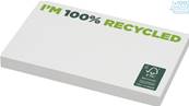Notes autocollantes recyclées 127 x 75 mm