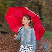 Parapluie de poche