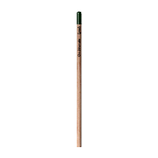 Sprout™ | Crayon à planter