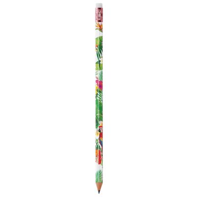 Crayon papier de la marque BIC