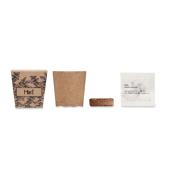 Kit de graine - Menthe