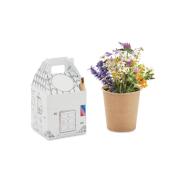Set de culture de graines pour enfants