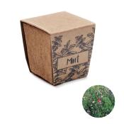 Kit de graine - Menthe