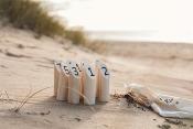 Jeu de quilles scandinaves - molkky