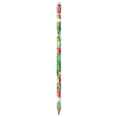 BIC® Evolution® Classic Ecolutions® crayon