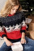 Pullover de Noël