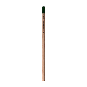 Sprout™ | Crayon à planter