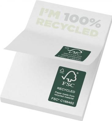 Notes autocollantes recyclées 127 x 75 mm