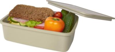 Boîte à lunch en plastique recyclé
