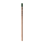 Sprout™ | Crayon à planter
