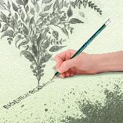 BIC® Evolution® Classic Ecolutions® crayon