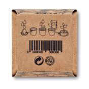 Kit de graine - Menthe