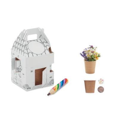 Set de culture de graines pour enfants