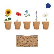 Kit de culture de fleurs