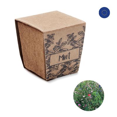 Kit de graine - Menthe