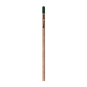 Sprout™ | Crayon à planter