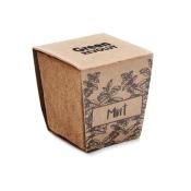 Kit de graine - Menthe