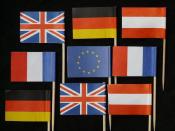 Drapeau de supporter